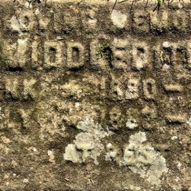 MIDDLEDITCH ? 1880-1974 &amp; ? 1883-19?8