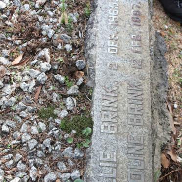 BRINK Willie -1965 &amp; Caroline -1967