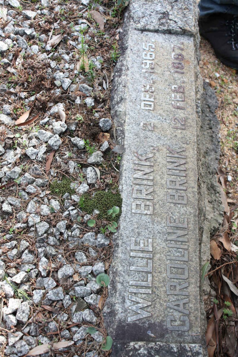 BRINK Willie -1965 &amp; Caroline -1967