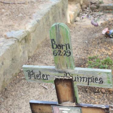 DUIMPIES Pieter 1929-