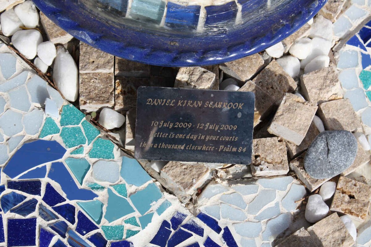 SEABROOK Daniel Kiran 2009-2009