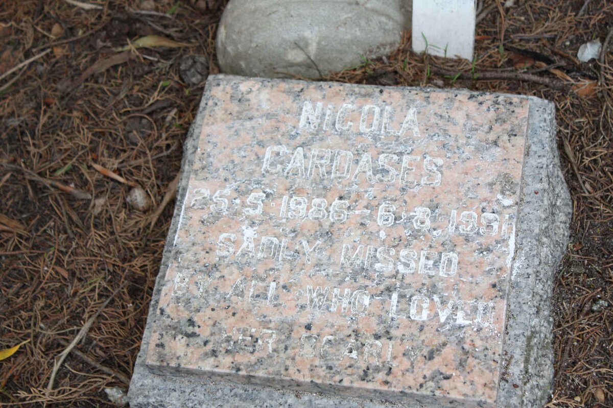 CARDASES Nicola  1986-1991