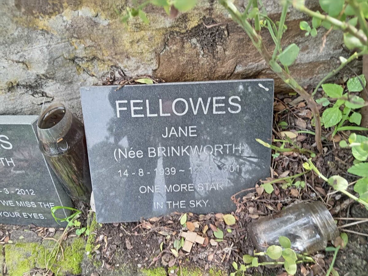 FELLOWES Jane nee BRINKWORTH 1939-2011