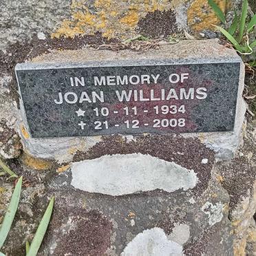 WILLIAMS Joan 1934-2008