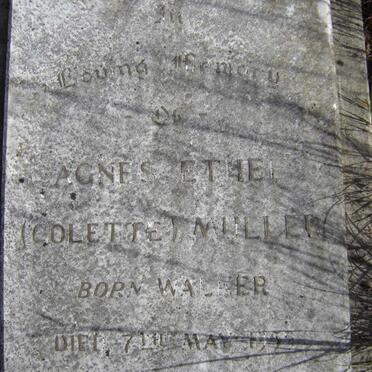 Western Cape, CAPE TOWN, Mowbray