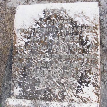 BERGMANN Alma Joyce -1919