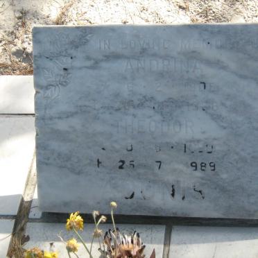 ADONIS Theodor 1890-1998 &amp; Andrina 1905-1988