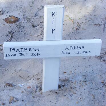 ADAMS Mathew 2010-2010