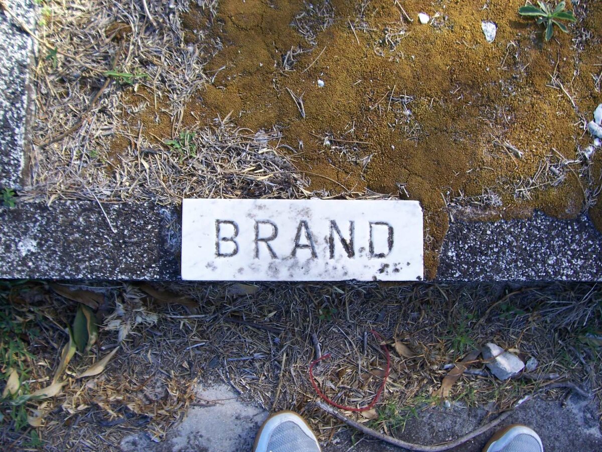 BRAND ?