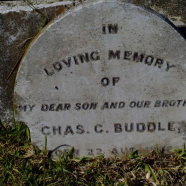 BUDDLE Chas. C. 1895-