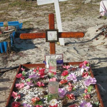 BROWN Cecelia Sophia 1965-2009