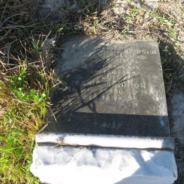 BRIDSON William Henry -1948 &amp; Jessie -1951