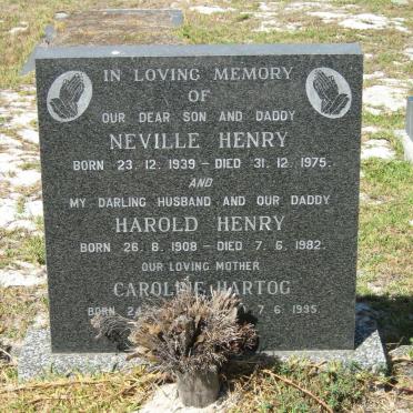 HENRY Harold 1908-1982 :: HENRY Neville 1939-1975 :: HARTOG Caroline ?-1995