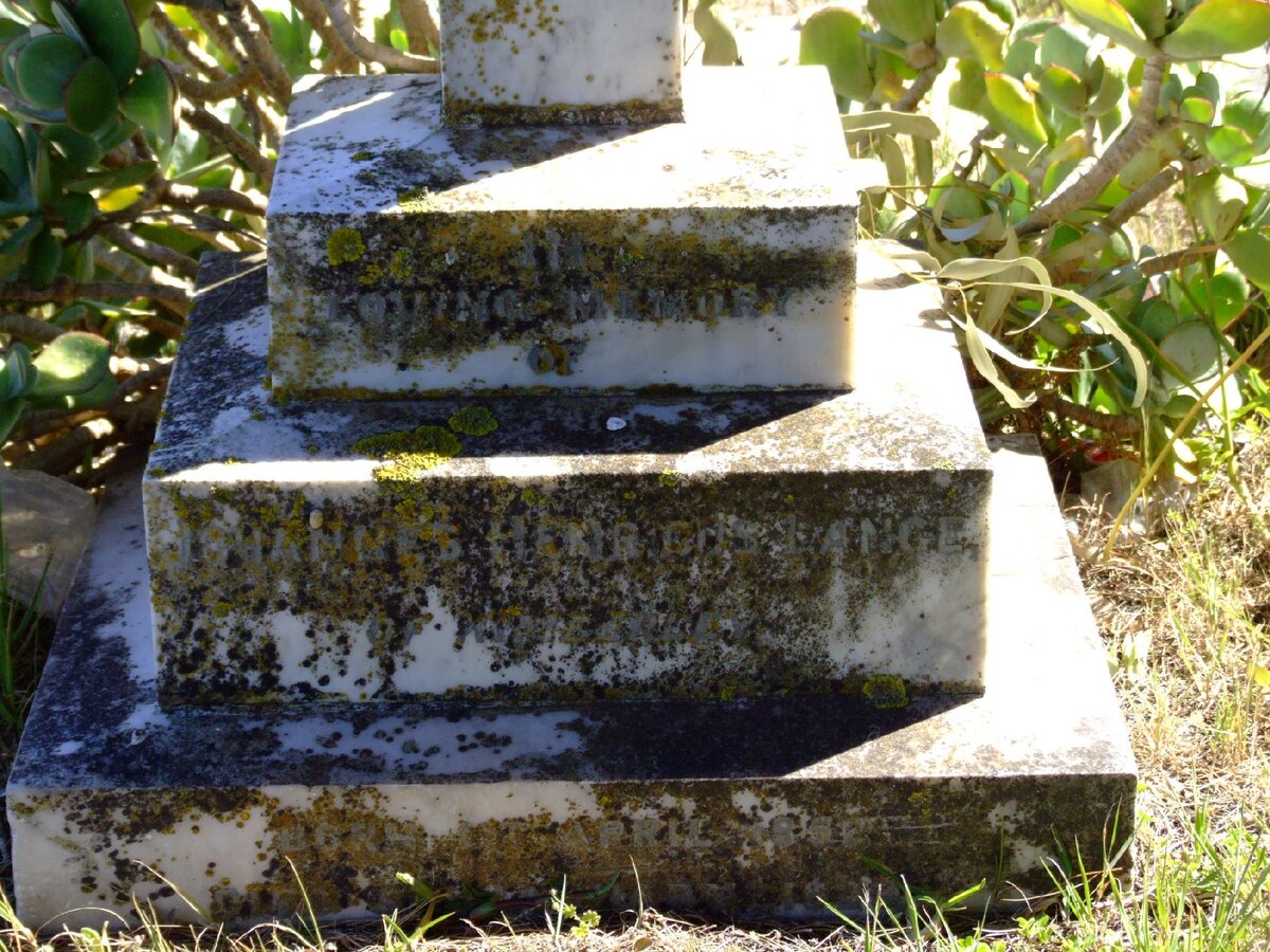 LANGE Johannes Henricus 1?52-