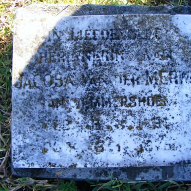 MERWE Jacoba, van der