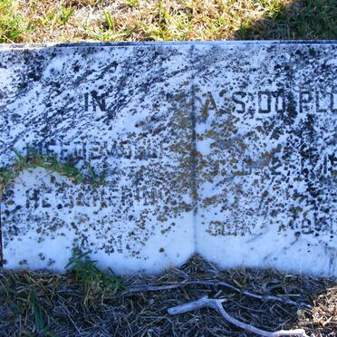 PLOOY A.S., du 1889-1975