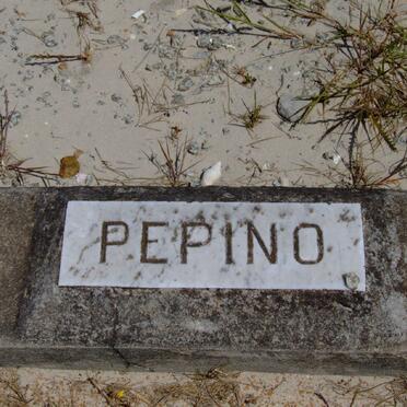 PEPINO