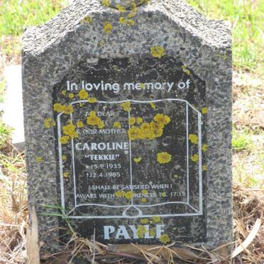 PAYLE Caroline 1935-1985