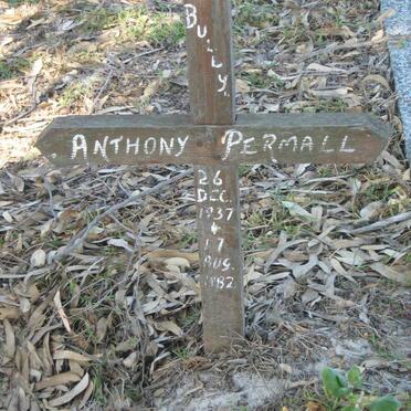 PERMALL Anthony 1937-1982