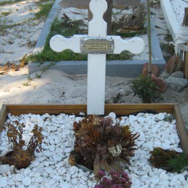 SCHEEPERS Elizabeth Lilian 1947-2008