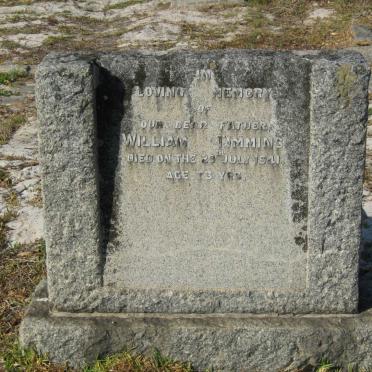 T - Vanne :: Surnames - T