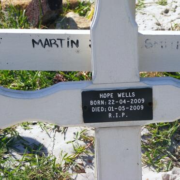 WELLS Hope 2009-2009