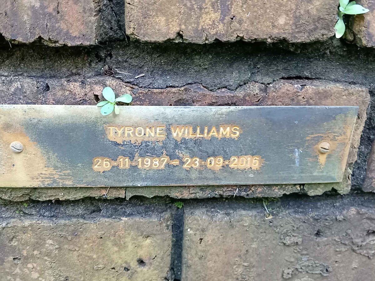 WILLIAMS Tyrone 1987-2016