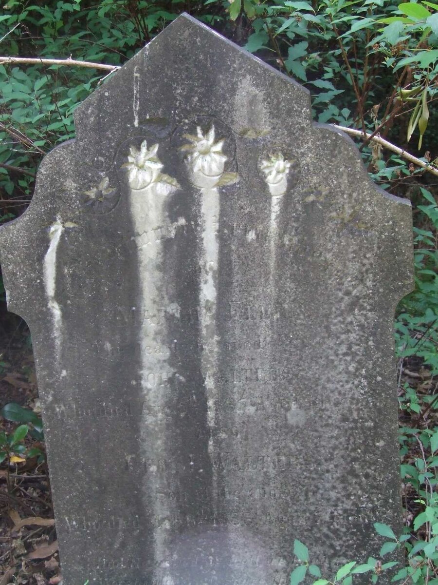 WALTERS Martha Ellen -1887 :: WALTERS Geo.J. -1888