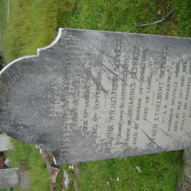 BLOMMESTEIN van :: SCHOLTZ