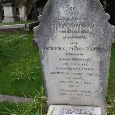 BARENSKIE :: PRIEM :: BROWN