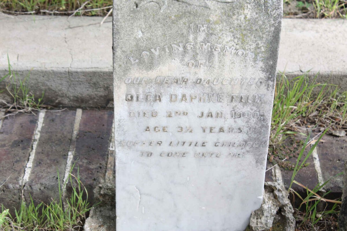 FELIX  Olga Daphne -1900