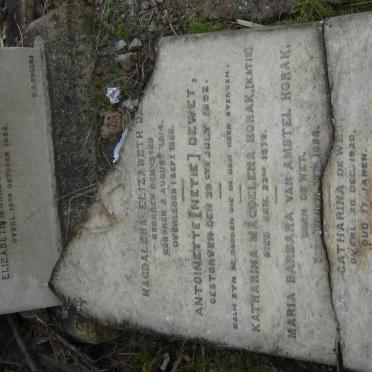 HORAK :: DE WET :: LE SUEUR :: DENYSSEN :: VOS