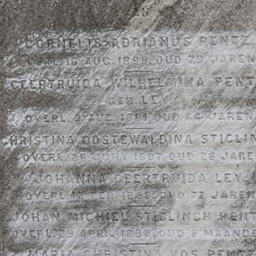 LEY :: PENTZ :: STIGLINGH