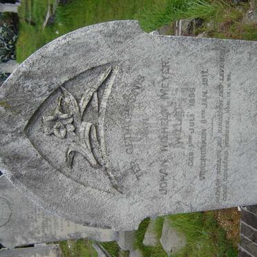 MEYER Johan Wilhelm 1896-1911