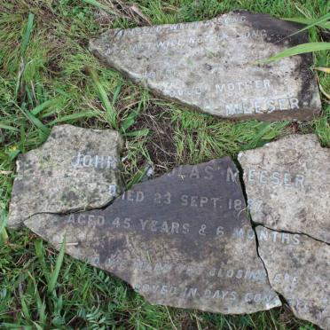 MEESER John Nicolas -1887 &amp;  ?