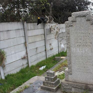 MULLER George Howard 1915-1916 :: MULLER ?-?