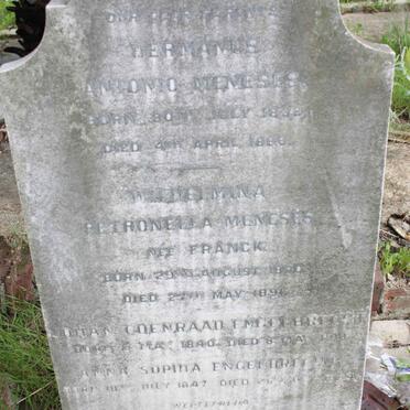 MENESES :: FRANCK :: ENGELBRECHT