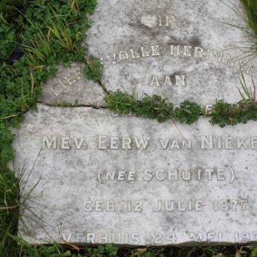 NIEKERK, van nee SCHUTTE 1877-1930
