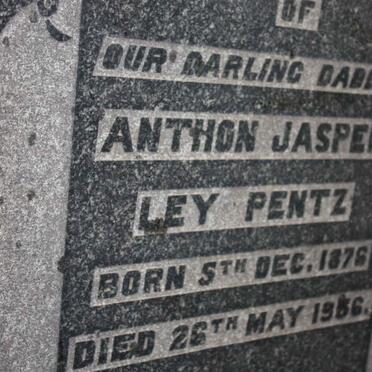 PENTZ Anthon Jasper Ley 1876-1936