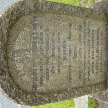 RYNHOUD William J.F.  -1935 :: RYNHOUD William -1903 :: RYNHOUD Fred -1918  :: RYNHOUD Lucy J. ?-1951