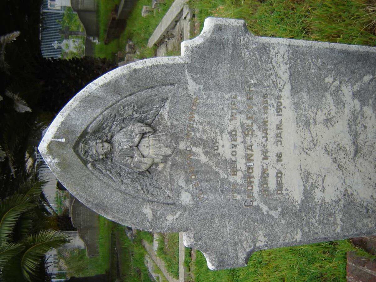 SLEYER Georgina 1856-1904