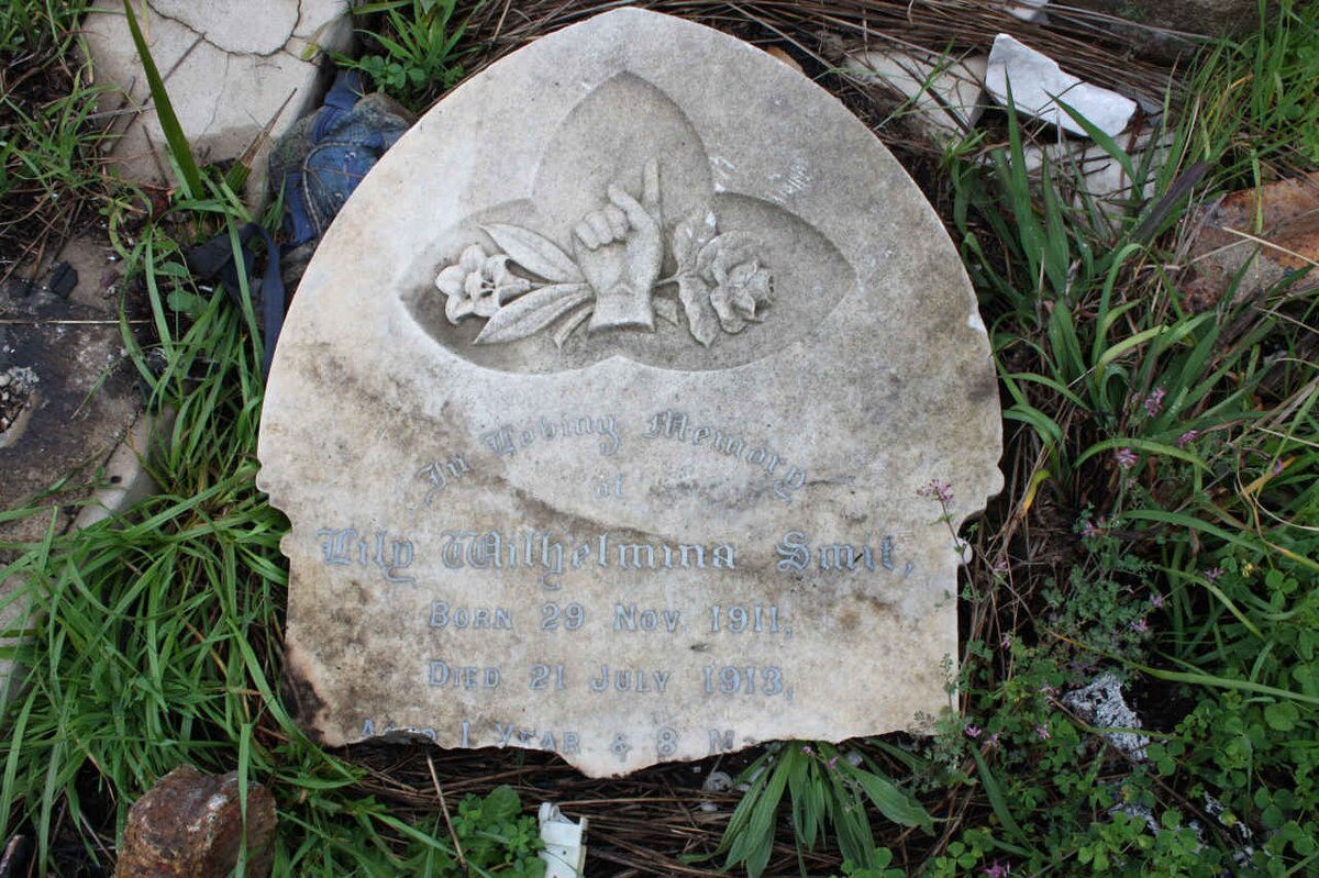 SMIT ? Wilhelmina 1911-1913