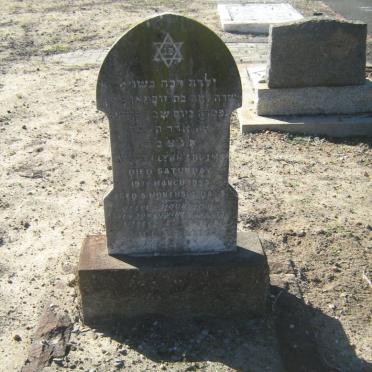 ABRAMS Sharon Lynn -1955