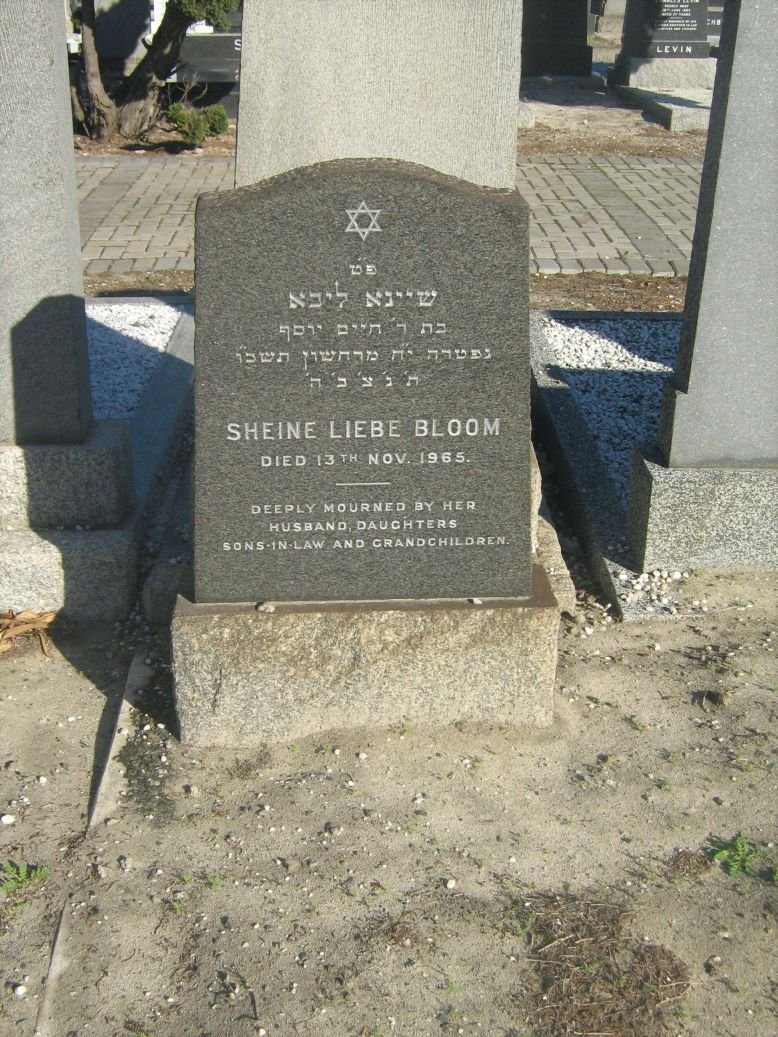 BLOOM Sheine Liebe -1965