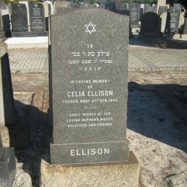 ELLISON Celia -1966