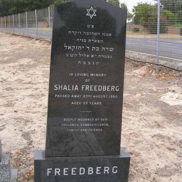 FREEDBERG Shalia -1980