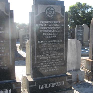 FRIEDLAND Ellen Zepola -1953