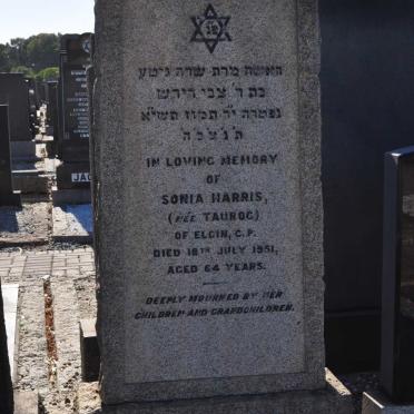 HARRIS Sonia nee TAUROG -1951