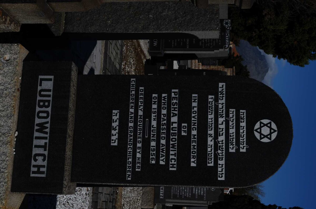 LUBOWITCH Pesha -1956