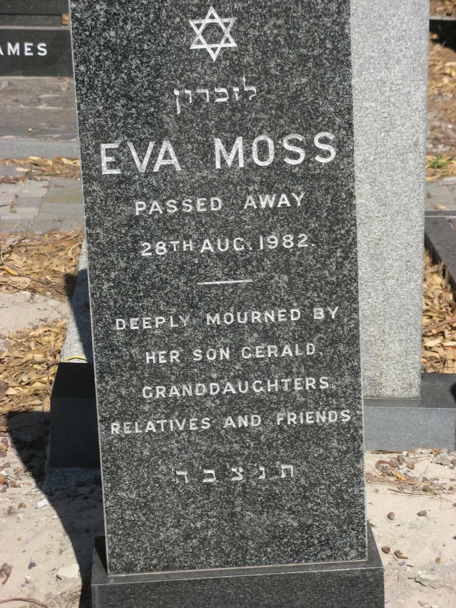 MOSS Eva -1982